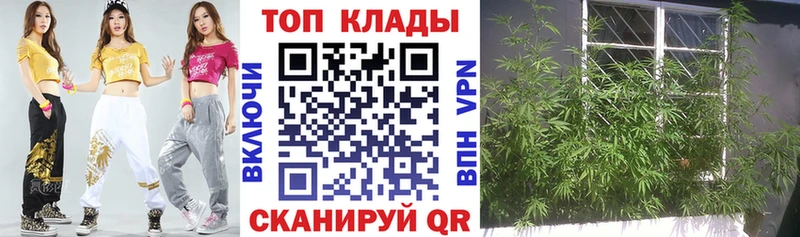 Купить закладку Менделеевск Галлюциногенные грибы ГАШИШ LSD-25 Cocaine Бошки Шишки