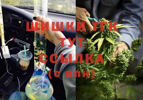 молекула духа Новодвинск