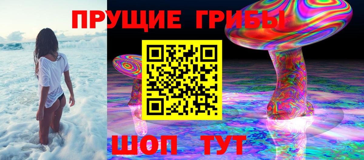 Псилоцибиновые грибы прущие грибы  Псилоцибиновые грибы GOLDEN TEACHER  даркнет сайт  Менделеевск  Вход с VPN 